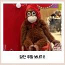 댕냥점빵 이미지