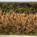 강원도 횡성군 횡성읍 화성로 이미지