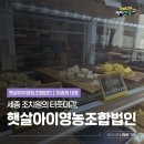 햇살영농조합법인 | [MZ 대학생의 갓터뷰 취재] 세종 조치원의 터줏대감 '햇살아이영농조합법인' (충대신문 나하윤)