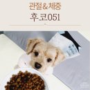 대박 SOFT | 후코051soft 관절&amp;체중, 라떼공주가 편하게 먹는 부드러운 기능성사료