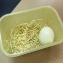 (주)행복더하기 | 직장인 스위치온 4주차 후기:금기음식 섭취로 3주차 한번 더하기/최종결과까지