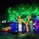 안의면사무소 이미지