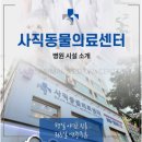 유기화동물의료센터 이미지