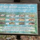 노추산힐링펜션