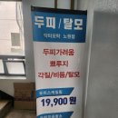 염색.두피 노원점