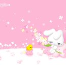 올리 이미지