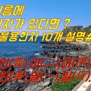 21번째 성명학 불용한자 10개 설명 이미지