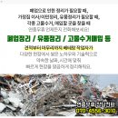 명성그린약국 이미지
