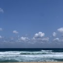 송정 농장 이미지