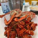 강원도속초여행 내돈내산 찐 맛투어 솔직후기 -! 참고해서 방문해보세용 ~~ <음식사진 많아요>