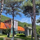[충남/보령] 개화예술공원 후기｜가족과 함께 가기 좋은 충남 나들이 명소·대천여행·남녀노소·허브...