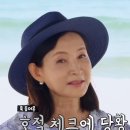 이화여자대학교사범대학부속이화금란고등학교 | 정애리 프로필 : 결혼 남편 이혼 나이 키 리즈 고향 학력 드라마 등