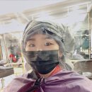 더보노헤어