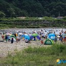 밀양유원지야영장 이미지