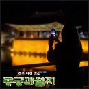 복지낚시터 | 경주 야경 명소 밤에 갈만한곳 데이트 포토스팟 동궁과 월지 안압지