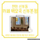 카페백묘국