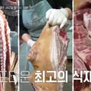 삼척골뱅이 이미지