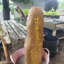 산수골농장2 이미지