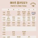 메이트플라잉요가