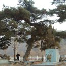 성대초등학교 이미지