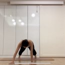 요가&소도구 필라테스 이미지