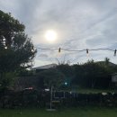 달고나민박 이미지