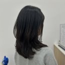 헤일로헤어 네이버블로그
