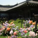 Grand hanok 이미지