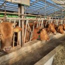 (주)우양 이미지