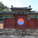 충신의사단비 이미지