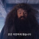 살롱 파마다