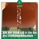 행복숲체험원오토캠핑장 | 충북 충주 자연을 느낄 수 있는 장소 문성 자연휴양림&amp;행복숲체험원