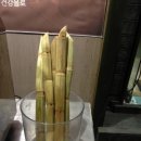 the 쫑포 이미지