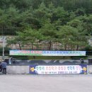 안양초등학교 이미지