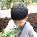 은별농장 이미지