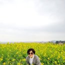 동안초등학교 | 제주도 택시렌트 요금 이용 후기 친구들과 다녀온 봄 제주 여행