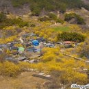 유정천리 이미지