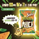 체다 이미지