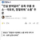 무릎꿇고 진상규명 외치는 무안공항 유가족들의 절규 이미지