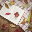 가을이 독서의 계절인 이유는? 이미지