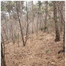 광덕산2로4~광덕산2로44 주변 | 순창 광덕산(☞434, 578m)