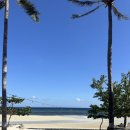 낭만안경 | 보홀 4박5일 자유여행 3탄 셀프 육상 투어 (초콜릿힐, 안경원숭이, 짚라인, ICM몰 쇼핑 추천템)