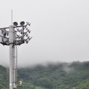 복학농장 이미지