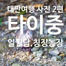 (유)새동양해외관광 | [대만 여행 사진 다시 정리 2편] 대만 일월담·칭징농장 2일차 여행 후기
