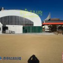 안동용상초등학교 티스토리