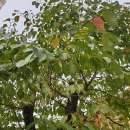 진한공인중개사사무소 이미지