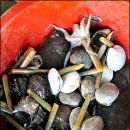 시장회타운 이미지