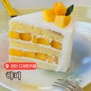 하피케이크 | 천안 신방동 카페 | 생망고 케이크 디저트맛집 하피 내돈내산 솔직후기