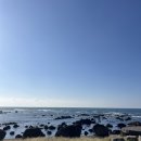 네네치킨표선점 | 영감님이~ 좋아하는~ 제주도~ 여행 🌴 (2)