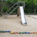 구봉초교병설유치원 이미지